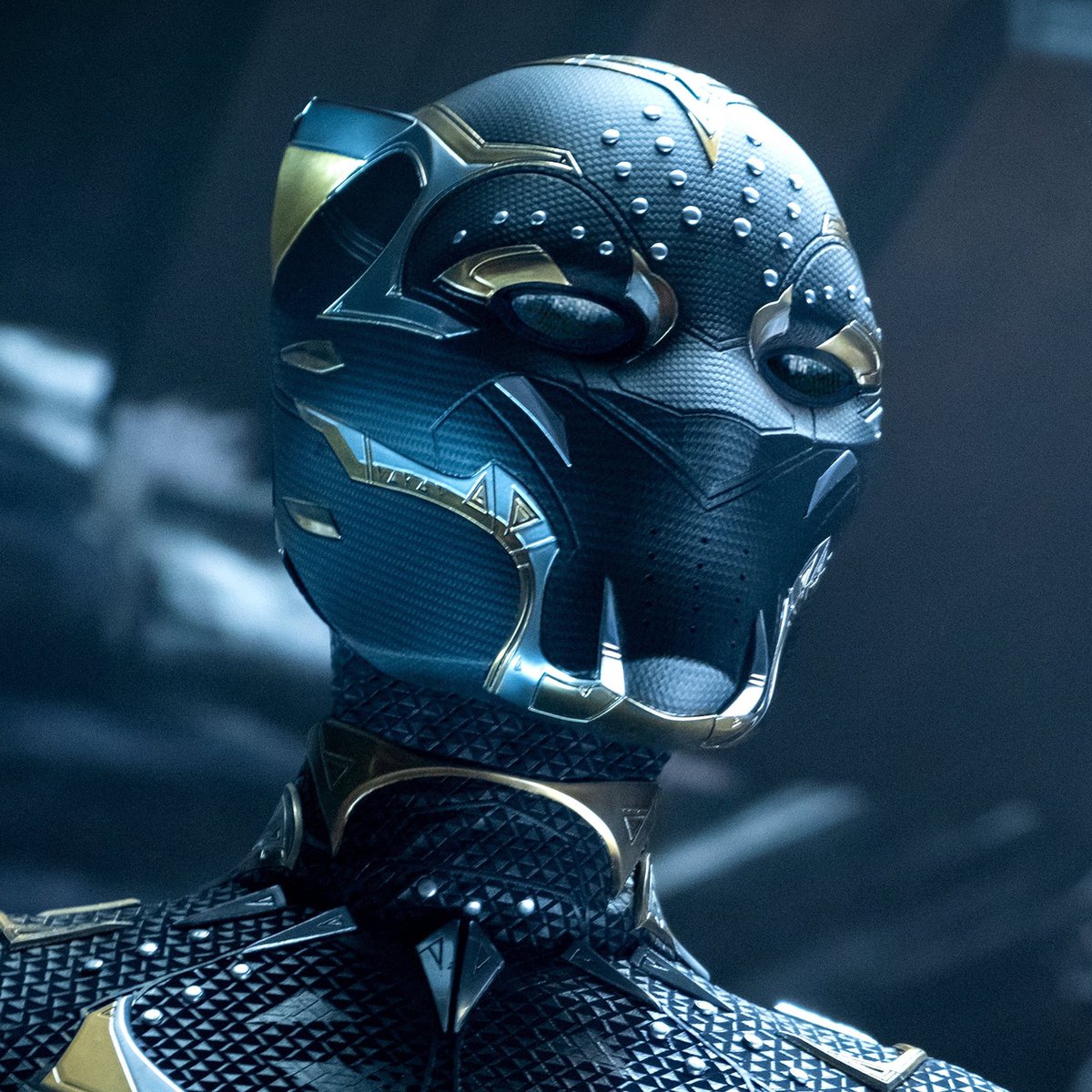 MCUFilmNews's tweet photo. ‘BLACK PANTHER 3’ will reportedly introduce a new mutant to the MCU.

This follows the same approach as ‘SPIDER-MAN: BRAND NEW DAY’, which is expected to introduce Jean Grey.

(via: @JamesMackwl) https://t.co/U4Jak6v7UX