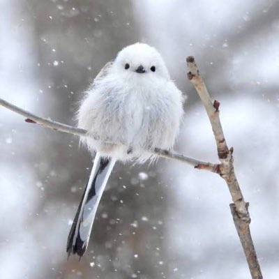 ciss_on1's tweet photo. #新しいプロフィール画像 https://t.co/yrMuH4ZUze