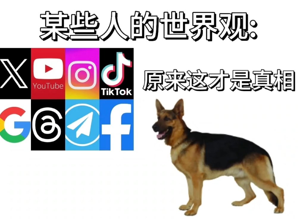 _Helloshen's tweet photo. @yu_luo30583 @zhihui999 九年义务教育读完了吗咋教出你这傻逼，开个梯子注册国外软件，就觉得自己老清醒了众人皆醉我独醒，其他人都是傻子被骗就你精说白了脑子有问题，国外宣传什么就信什么，别人说你妈四了，你妈就四了呗😂 右滑差成分25年注册的砂碉年龄也打大不了那去，咋能这么傻逼 https://t.co/N7wr3DRItm