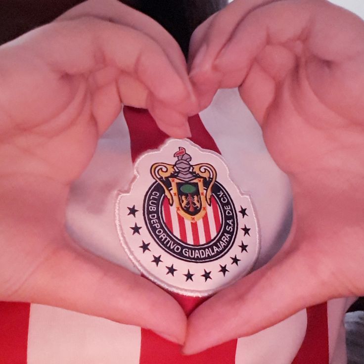 zqchivas's tweet photo. Y bueno eso seria todooo, a votar se ha dichooo
RECUERDEN‼️
Las votaciones cierran el dia 10 de julio, osea, practicamente mañana‼️
Recuerden crearse 1000 cuentas para votar y gracias por leer 💋 https://t.co/SgJtV4Y9ji