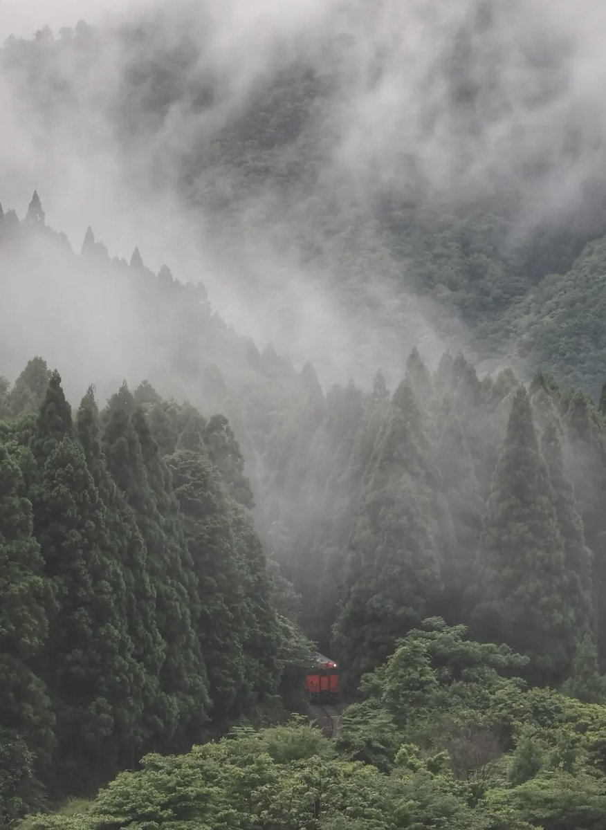 voshans's tweet photo. De pracht van het #treinleven…
(Foto Morita Photography)
#Hyogo #Japan
#trein #train #spoorwegen #railway
#fotografie #photography #groen
#travel #travelphotography #green
#landscape #landscapephotography
#natuur #nature #naturephotography
#mist #fog #mistig #foggy https://t.co/a0FYE6BMUf