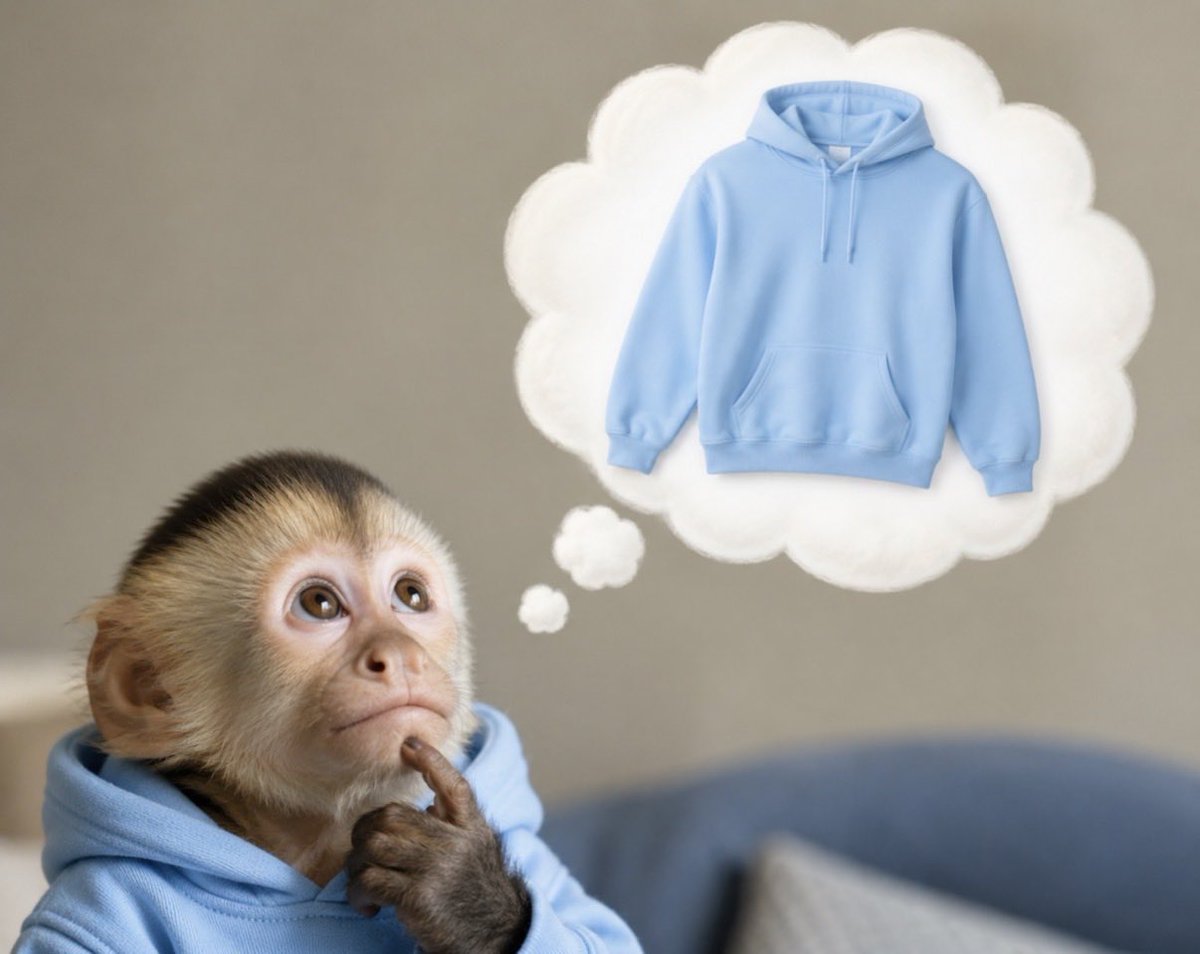 Monkeflips tweet picture