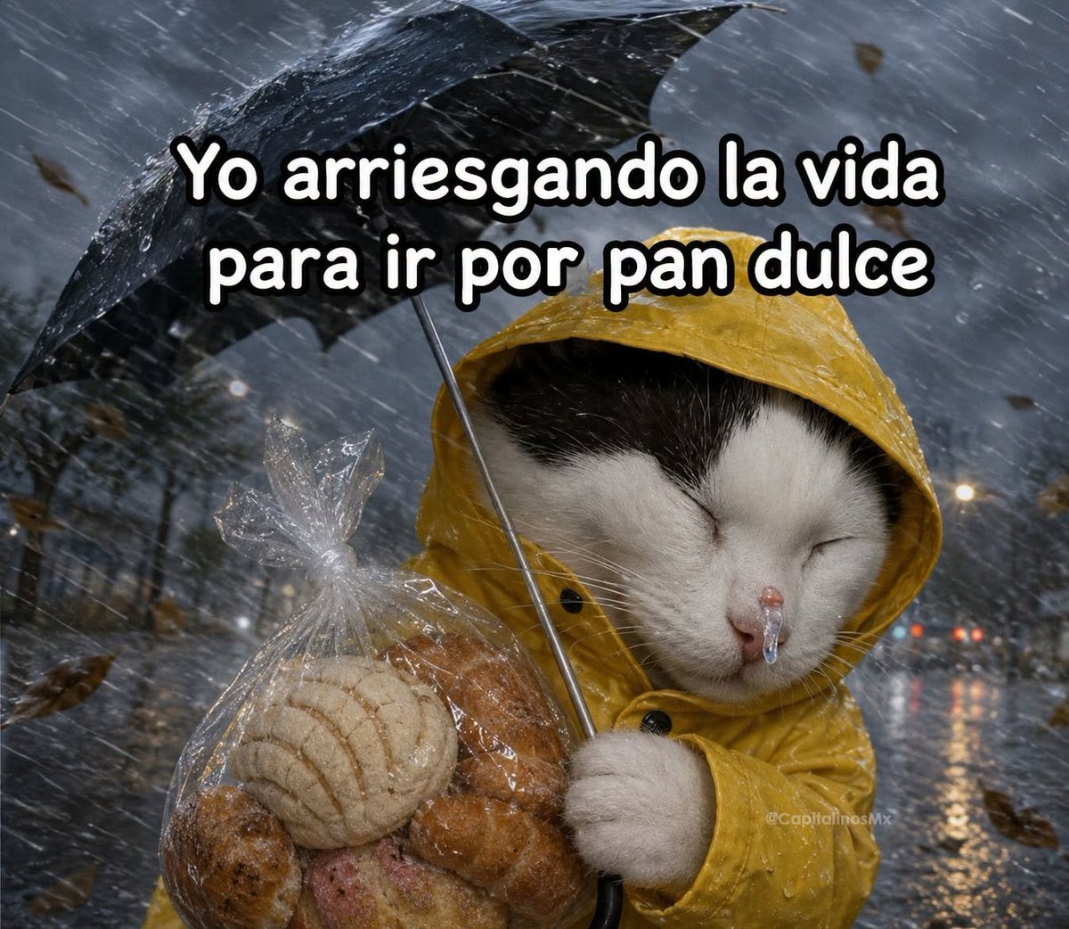 manuel_alamilla's tweet photo. ⛈️☔🥯 https://t.co/ZCUWaiw3Qz