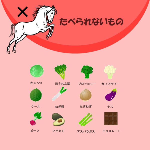 sasanyan12's tweet photo. 馬にあげていいもの、ダメなもの – 四街道グリーンヒル乗馬クラブ https://t.co/WAtTVphbed https://t.co/xaMcXDAFej