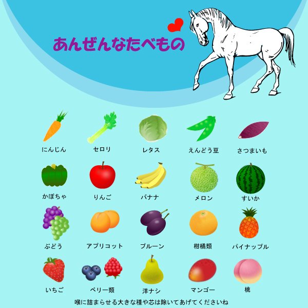 sasanyan12's tweet photo. 馬にあげていいもの、ダメなもの – 四街道グリーンヒル乗馬クラブ https://t.co/WAtTVphbed https://t.co/xaMcXDAFej