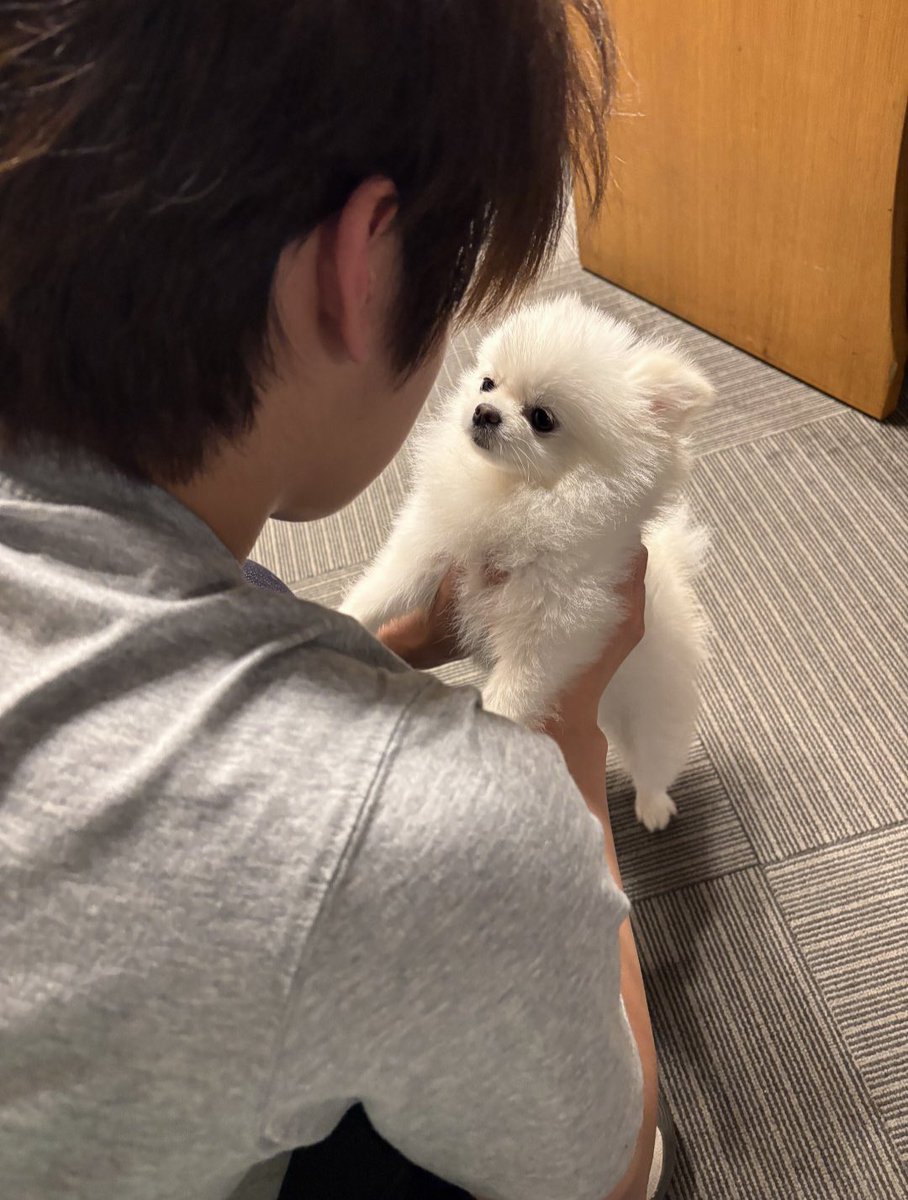sa1tyboy's tweet photo. 아니 대박… 김지용 강아지라서 대화가 되나봐… 막 둘이 교감해… https://t.co/kYIA9Jqdno