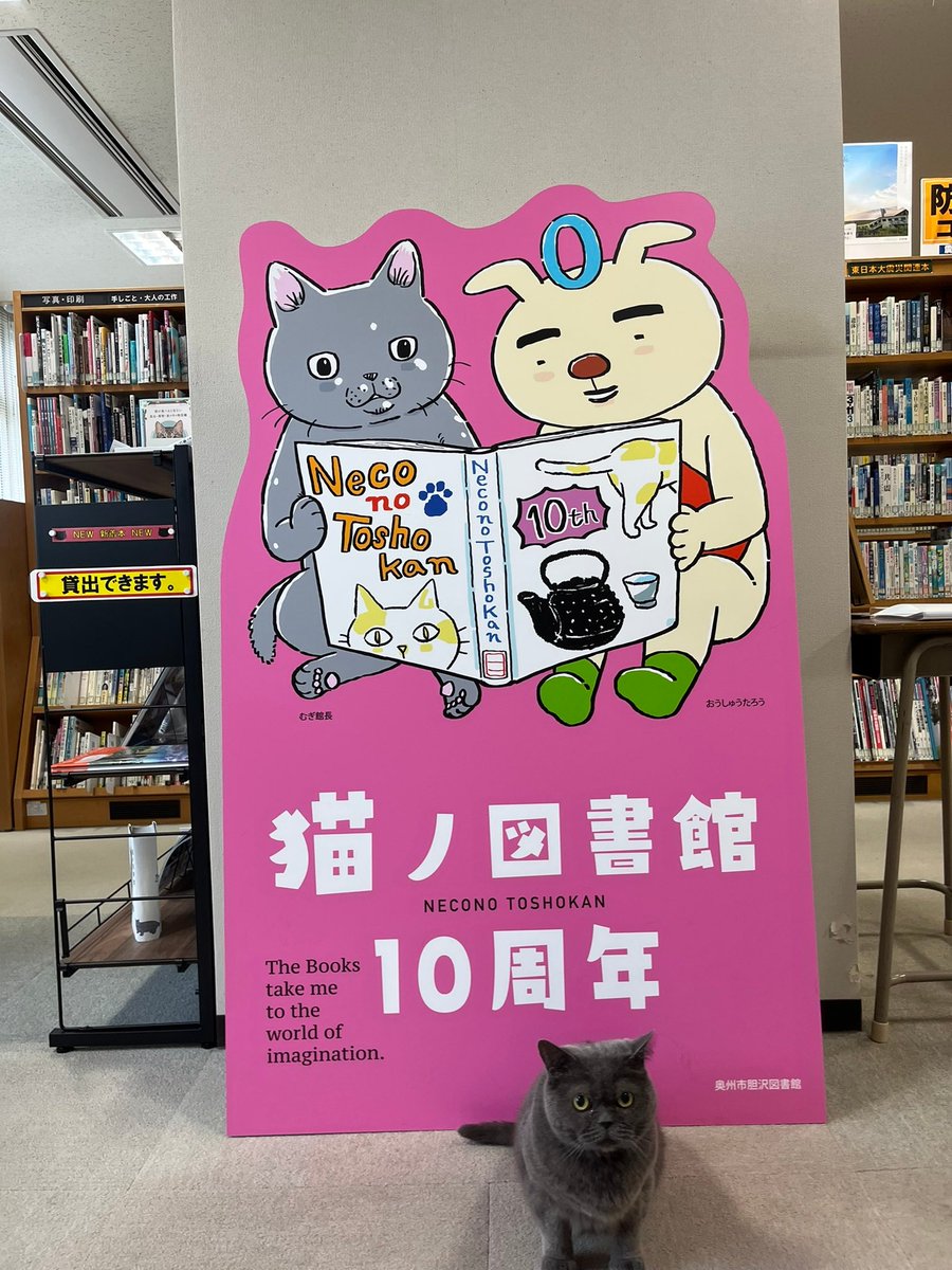 neconotoshokan's tweet photo. #猫ノ図書館10周年 #記念ロゴマーク 完成🙌
ロゴ制作は、#おうしゅうたろう 生みの親・ #吉田戦車 （ @yojizen ）氏と #南幅俊輔 （ @SotonekoJapan ）氏です✨

#フォトスポット 設置中！

#猫ノ図書館 #むぎ館長 #胆沢図書館 #奥州市 #岩手県 #読書 https://t.co/MrjEctLduT