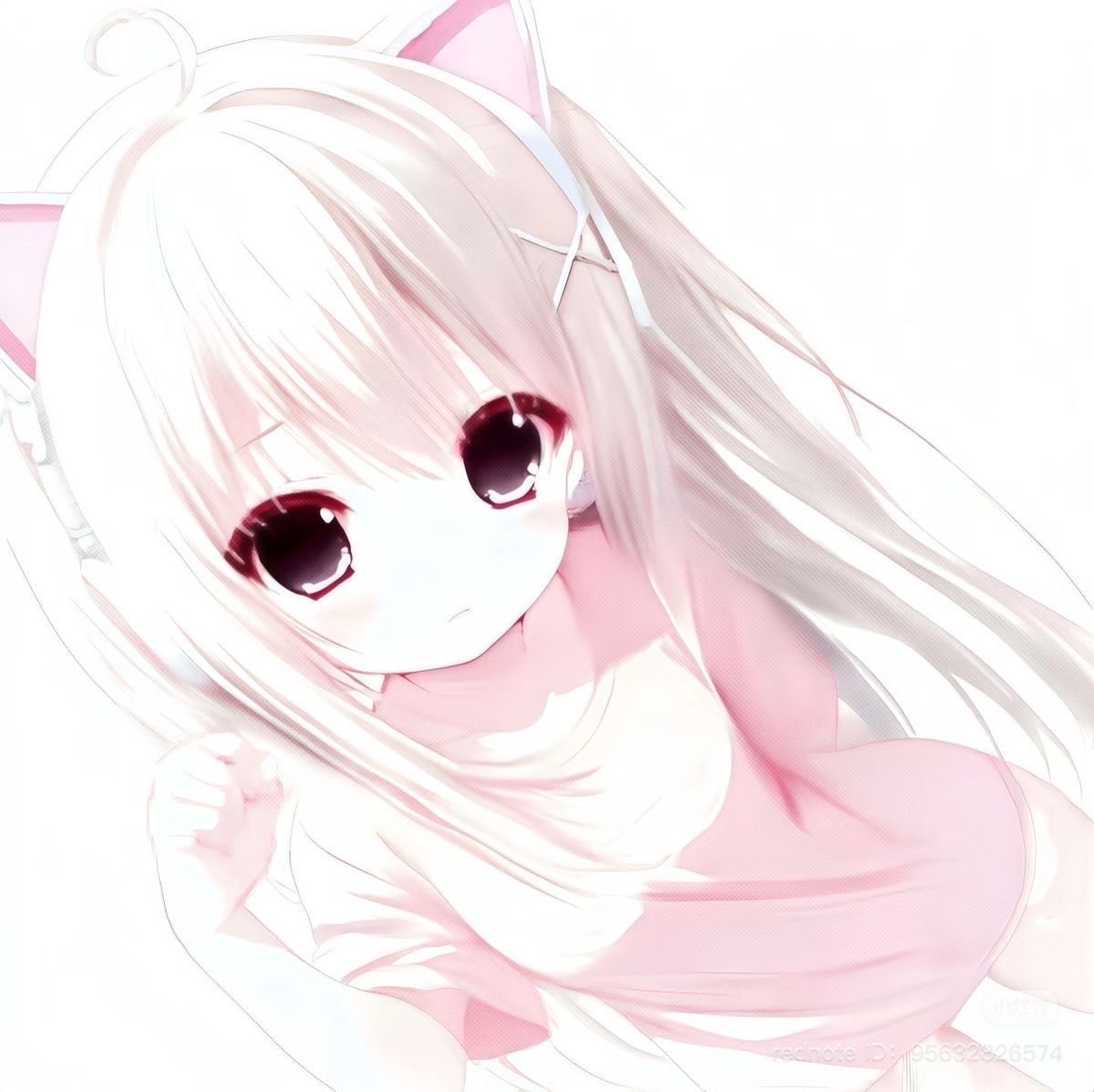 fantasymeow9's tweet photo. new account, new to #nsfwtwt

-minors dni!!!!
-18
-bi
-she/her
-dms open ^_^ https://t.co/3msjafR5oX