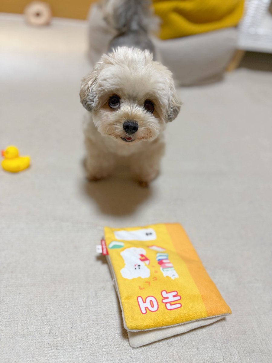 ぽた (@potage_0924) / Posts / X