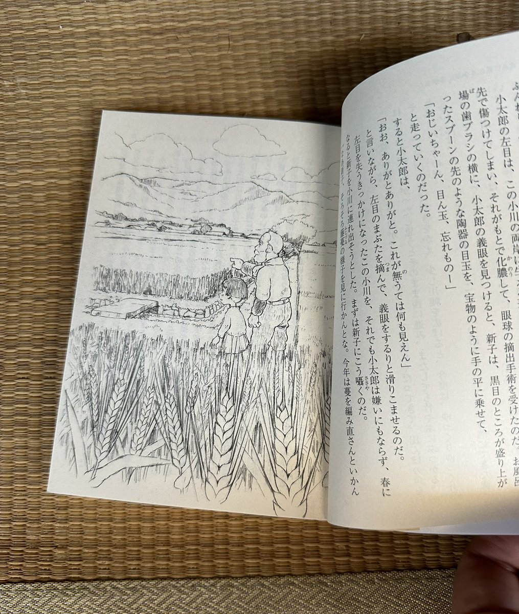 hyakusobunko's tweet photo. 途中で手放したので　やっぱり読み終えたくて　文庫本を買い直しました　古本で帯はないけど　カバーは片渕監督の映画の新子ちゃんです　浦谷千恵さんの挿画もあり❤️  楽しみです　今度は完読‼️ https://t.co/XpZlTzmCSG