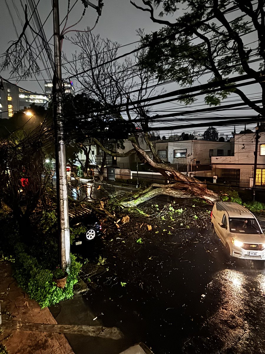 _mananam__'s tweet photo. @En_laDelValle Se cayó una jacaranda sobre porfirio díaz, no hay paso, ya vienen los servicios de emergencia 🙏🏼 https://t.co/Ax5sq8SswN