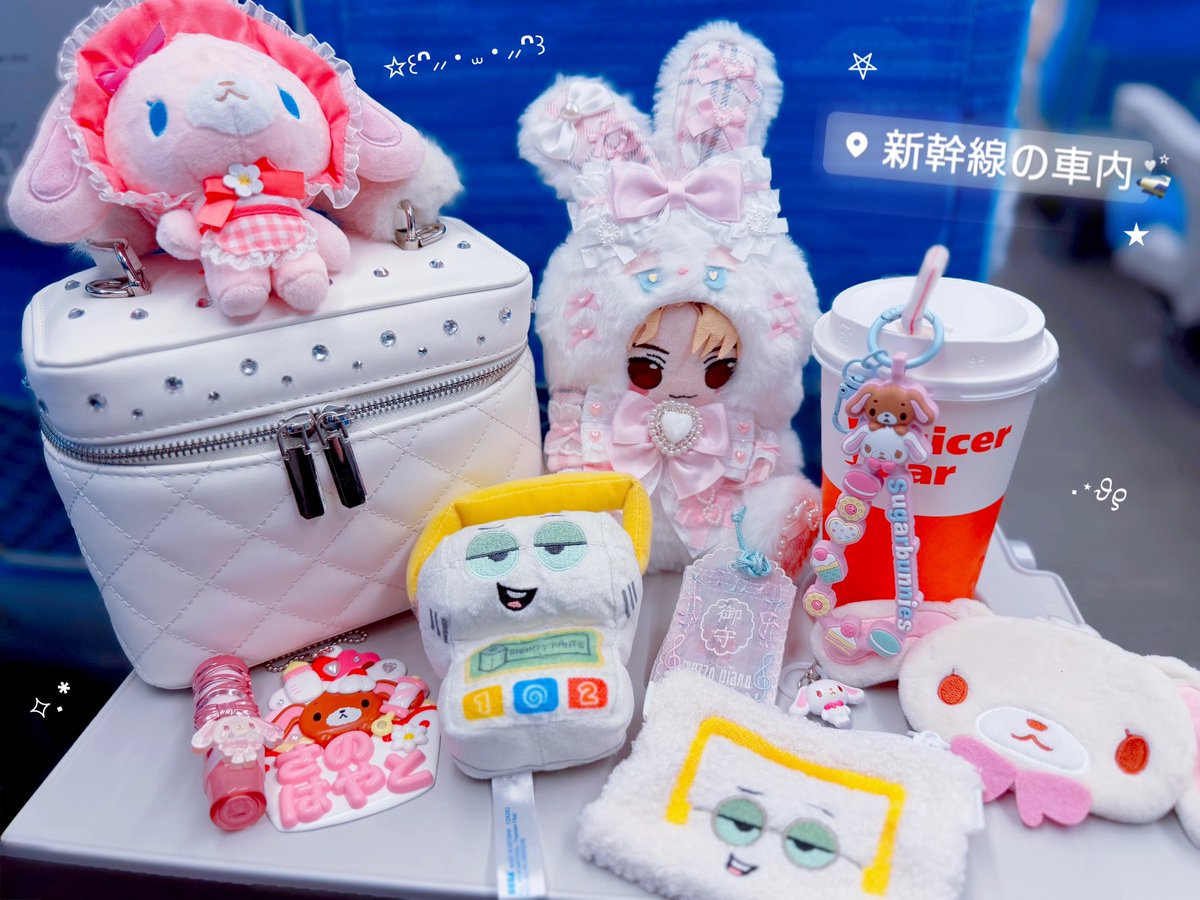 ぬい服届いた꒰ᐢ⩌⩊⩌ᐢ꒱