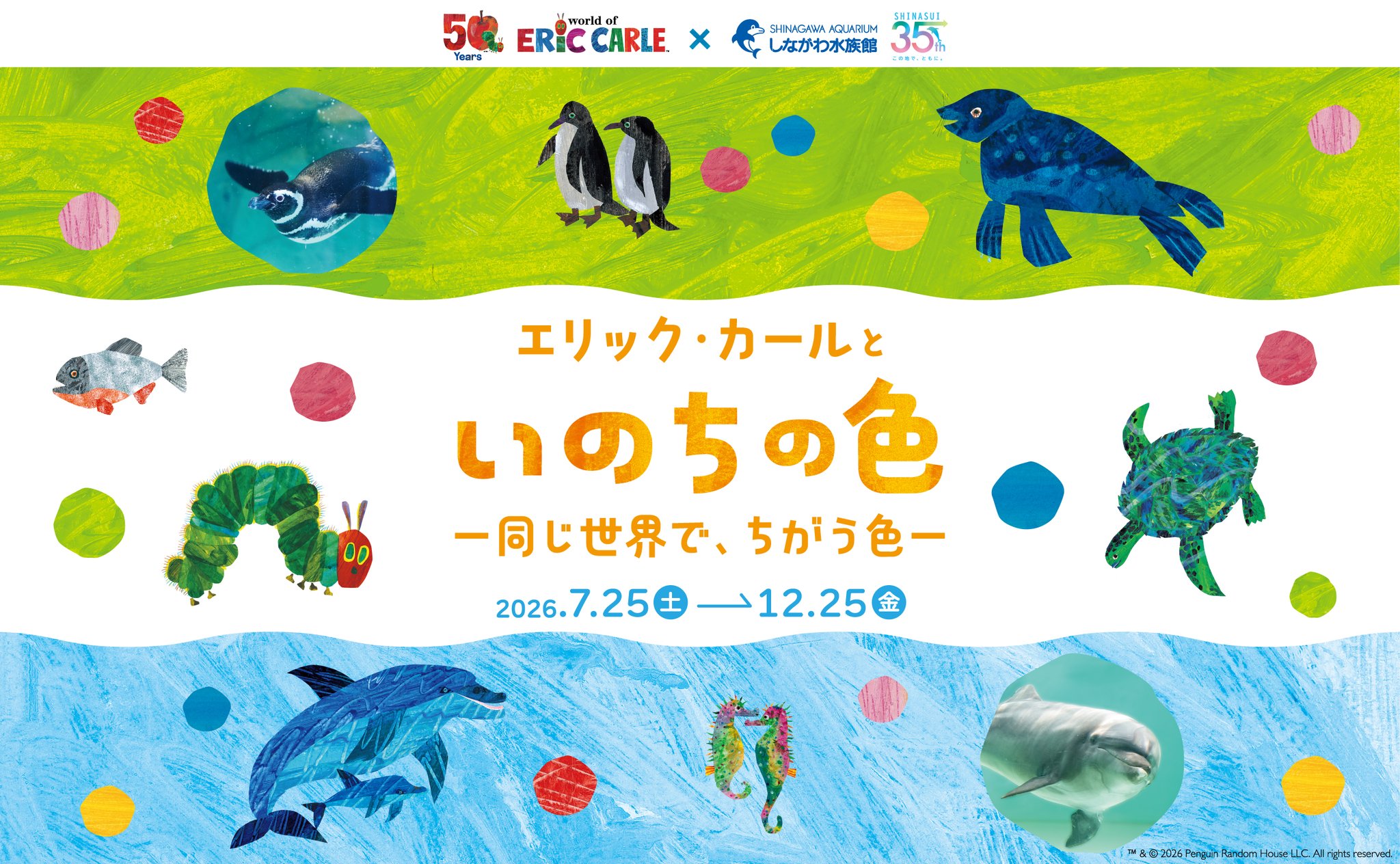 しながわ水族館 on X: 