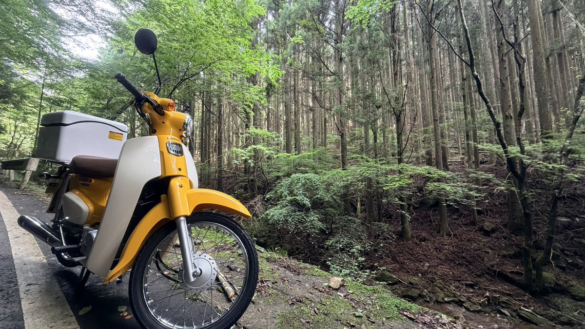 Doc2saurus's tweet photo. 最高のおやすみ中です🛵 https://t.co/4uk2NMRVAN