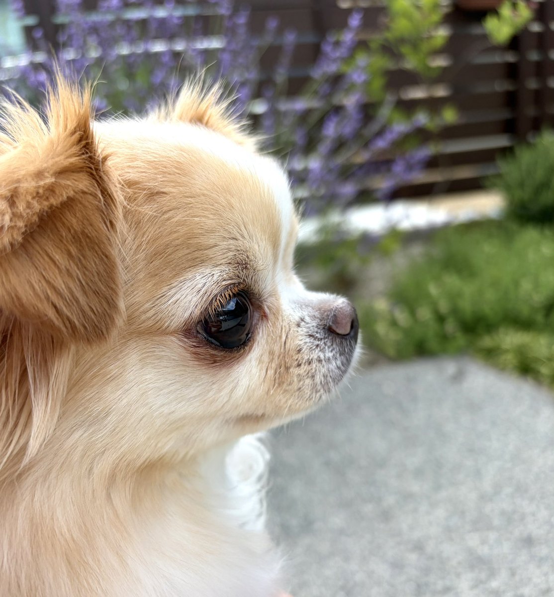 nanacha0712's tweet photo. 暑くなってきたね https://t.co/OZdgtD5oHs