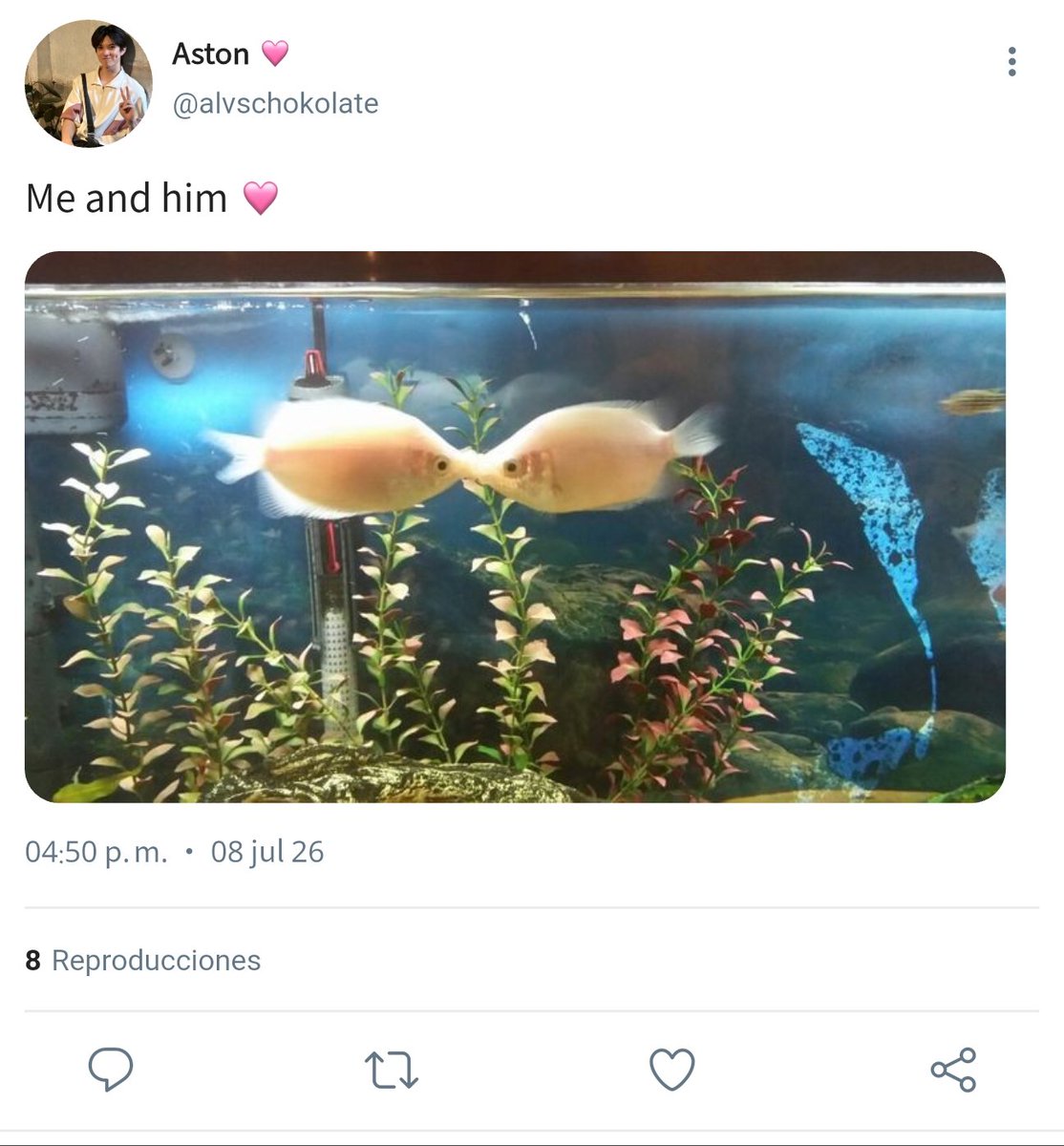 ppondallin's tweet photo. 🎮 230

— Mira, amor, somos estos. https://t.co/FYOfaSVVTr