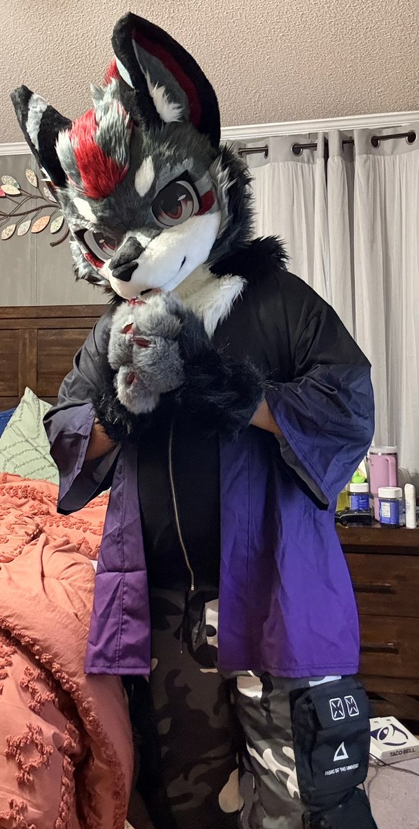 NimbusTheMallo's tweet photo. Some pics in Hanzo tonight. :D

#furry #fursuit https://t.co/15yZZNafmv