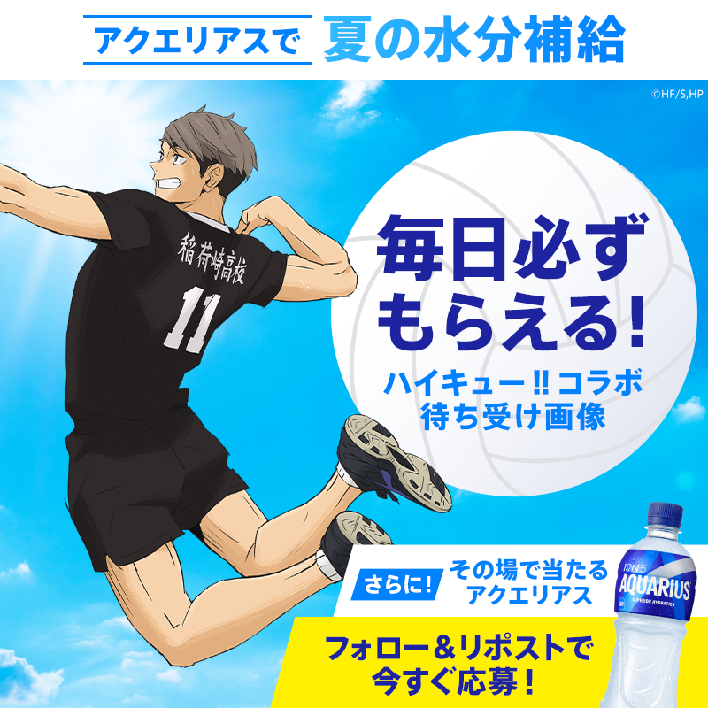 AQUARIUS_SPORTS's tweet photo. ／
アクエリアスで夏の水分補給☀
ハイキュー!!コラボキャンペーン🏐
＼

宮 治選手など、
ハイキュー!!キャラクターの待ち受け画像が必ずもらえる＆ドリンクチケットの当落がその場で届く！
毎日参加で製品セットが当たる🎁

①フォロー
②この投稿をリポスト
