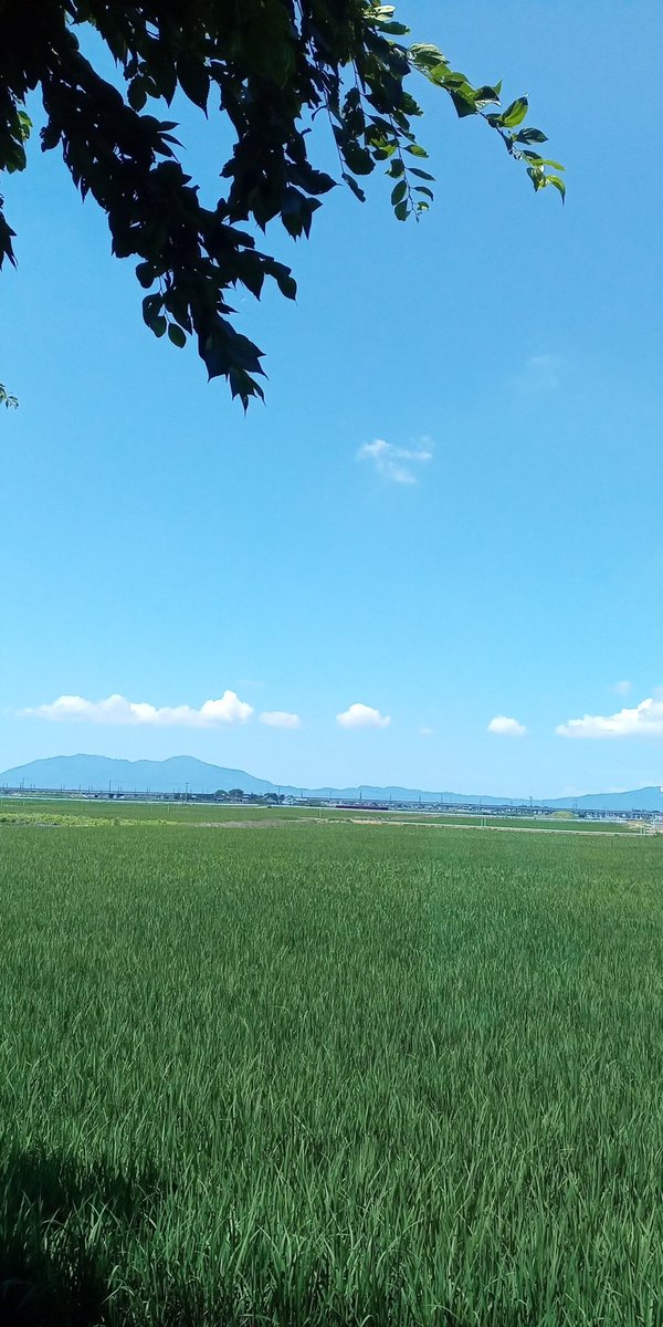 ushinocoffee's tweet photo. 本日も元気に営業開始！

昨日は男祭みたいな感じで、常連男性が群れ集まりました。賑やかな空気で、いつもとは違う雰囲気。

昨日も今日もいつも通りの営業でーす♪ https://t.co/gEZwxO0c1R