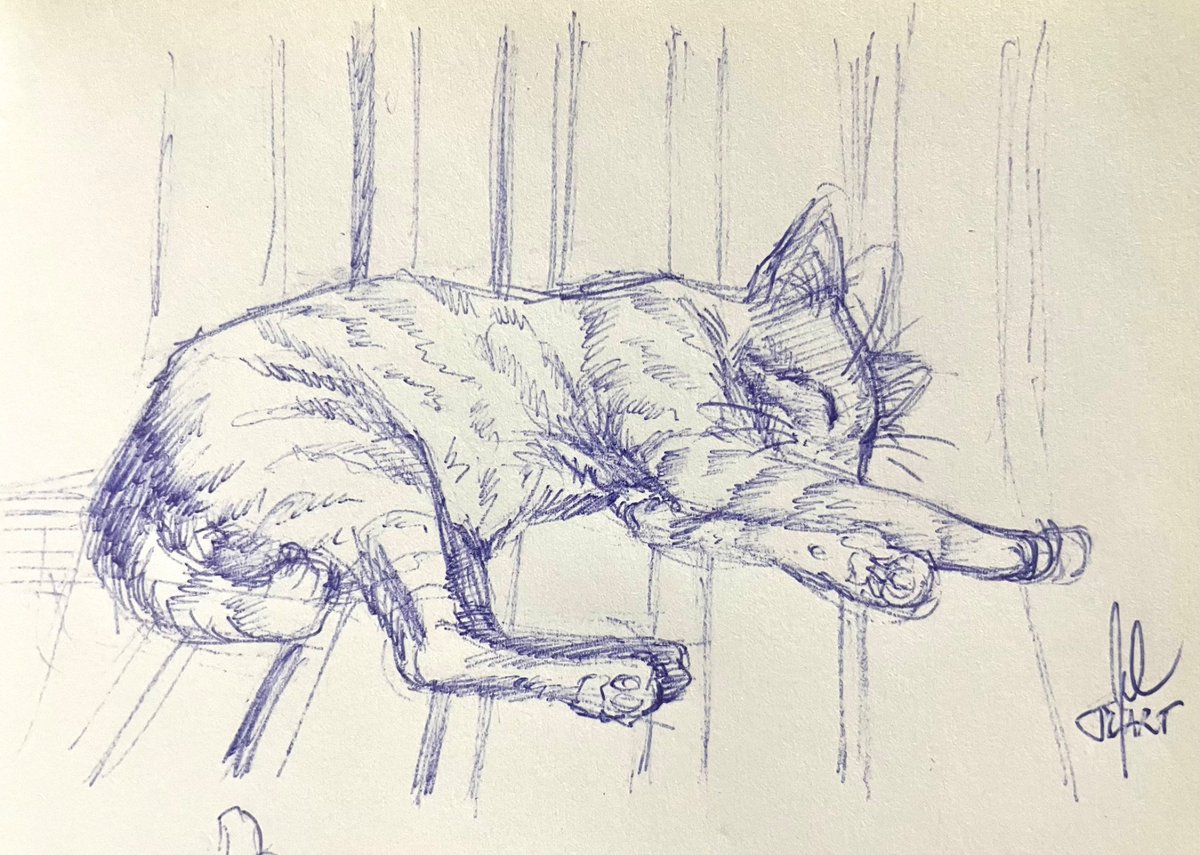 julesart_03's tweet photo. A sketch of an orange cat sleeping next to me on a park bench.
#pensketch #traditionalart #cats https://t.co/kIqdiBz4Jk