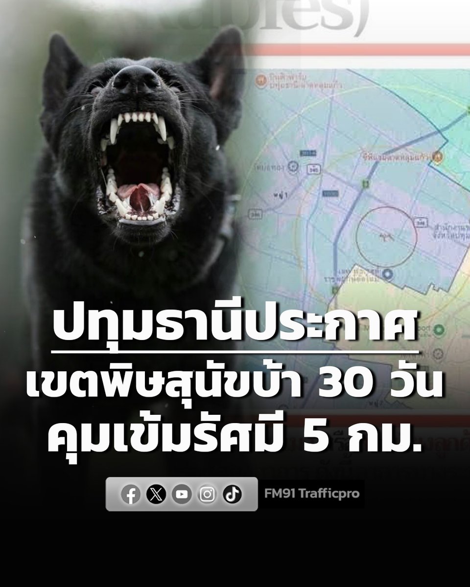 fm91trafficpro's tweet photo. ปทุมธานีประกาศ! เขตโรคพิษสุนัขบ้า 30 วัน คุมเข้มรัศมี 5 กม. #ปทุมธานี #ประกาศ #โรคพิษสุนัขบ้า #FM91 

อ่านข่าวต่อ https://t.co/ZoiNhZ4Zko https://t.co/3fOMGN6Hs2