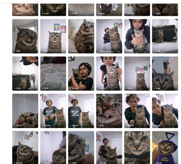 karatzntlsv's tweet photo. This cat named Mushu has been going viral on tiktok yet no runners on it?

over 300k followers in two months

its the most viral cat account on tiktok especially because of the unique cat appearance

tiktok:https://t.co/OQr7xsXx7m

Literally looks like a vampire with his teeth https://t.co/0wsm2vifvE