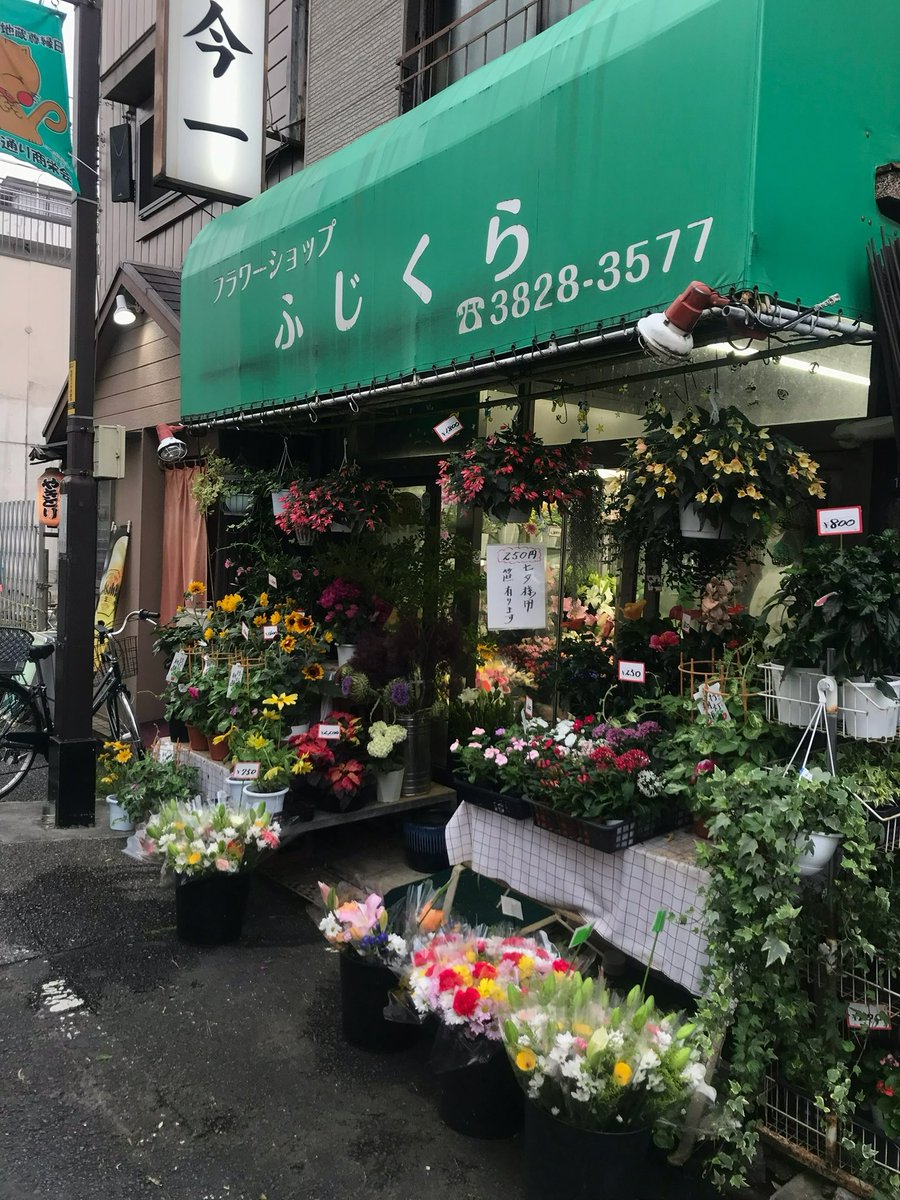 dearluIu's tweet photo. 그리구 또 반해버린 동네
닛포리(야네센) - 우에노
나에게 그저 스카이라이너 타는 곳 정도였는데 인식이 완전히 바꼈다!!🪶 함께해준 친구 덕분인 듯해 https://t.co/IVTPuyJeDZ