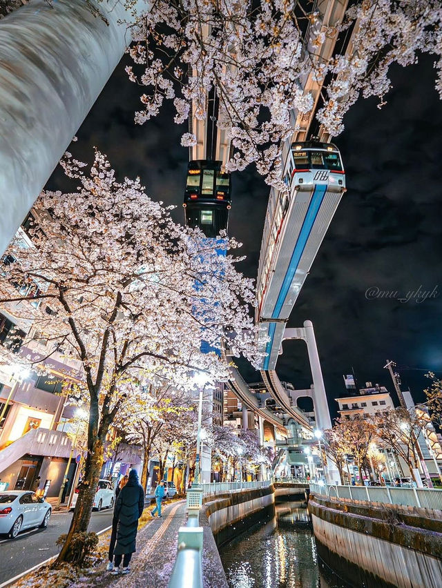 AnimexTwts's tweet photo. Japan Monorail 🇯🇵 https://t.co/gloKKJQTGs