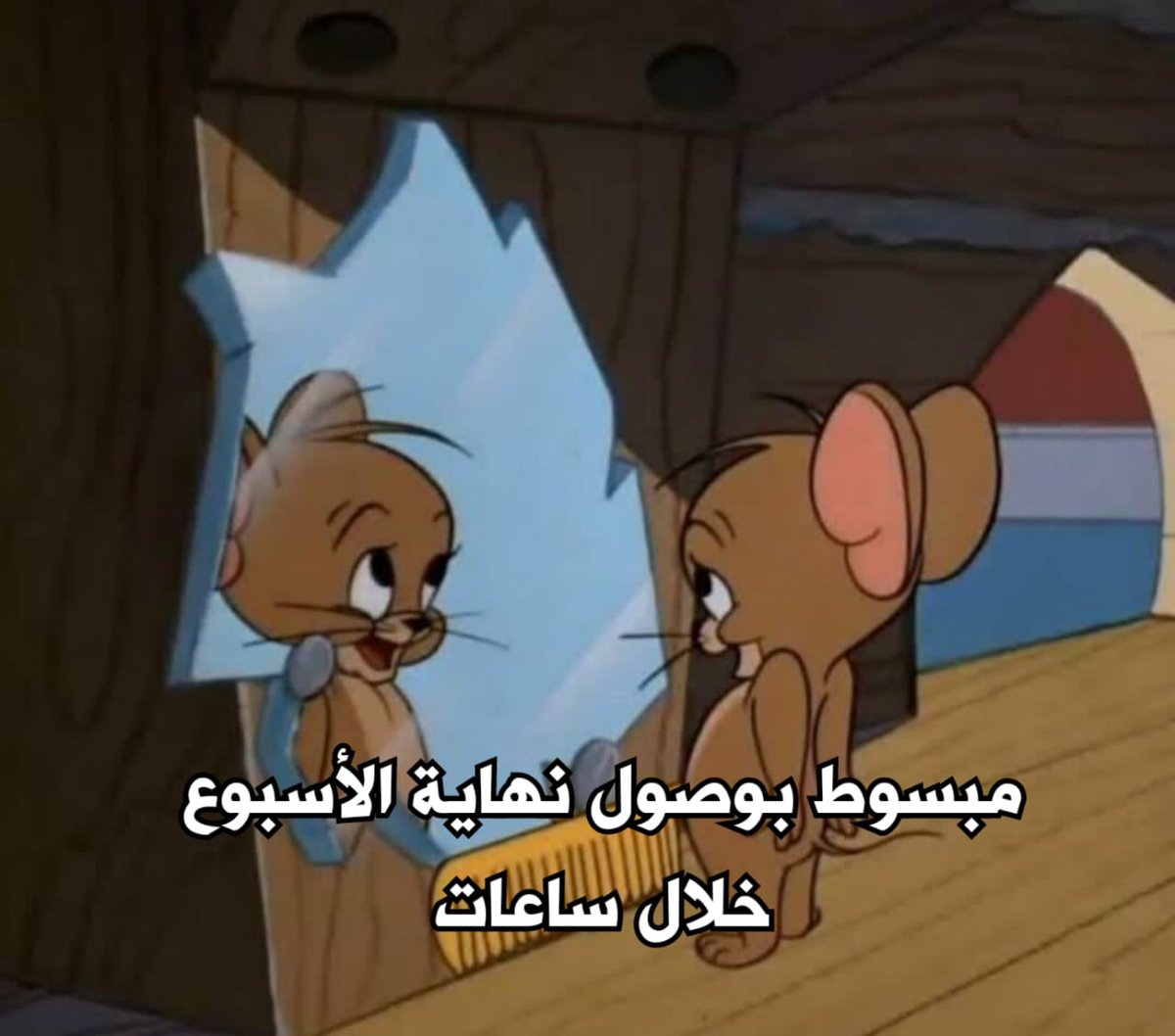egymeme11's tweet photo. https://t.co/CWOZbQKDJN