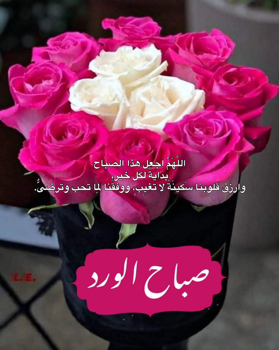 A55166535's tweet photo. صَبَاحُ الخَيْرِ 
أشرِقوا بالأمل، وابدؤوا يومكم بقلبٍ مُطمئن، ولسانٍ يلهجُ بذكرِ الله، وروحٍ تُحسِنُ الظنَّ به.
اللهمَّ اجعل هذا الصباحَ فاتحةَ خيرٍ، ورزقًا واسعًا، وتوفيقًا في كلِّ خُطوة، واملأ قلوبَنا سكينةً وسعادةً لا تزول🌺🌺🌺❤️❤️✨ https://t.co/4aohqkvlRz