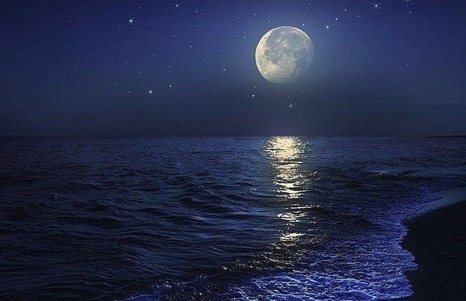 alalisson_'s tweet photo. Mordea y Ella alguna noche se vieron cuando Aura realizaba los Últimos Vuelos cerca de donde ella vivía, aunque ya se vieron varias veces en lo lejos nunca se dirigieron palabras al ninguna acercarse a la otra. https://t.co/atmLVPrahT
