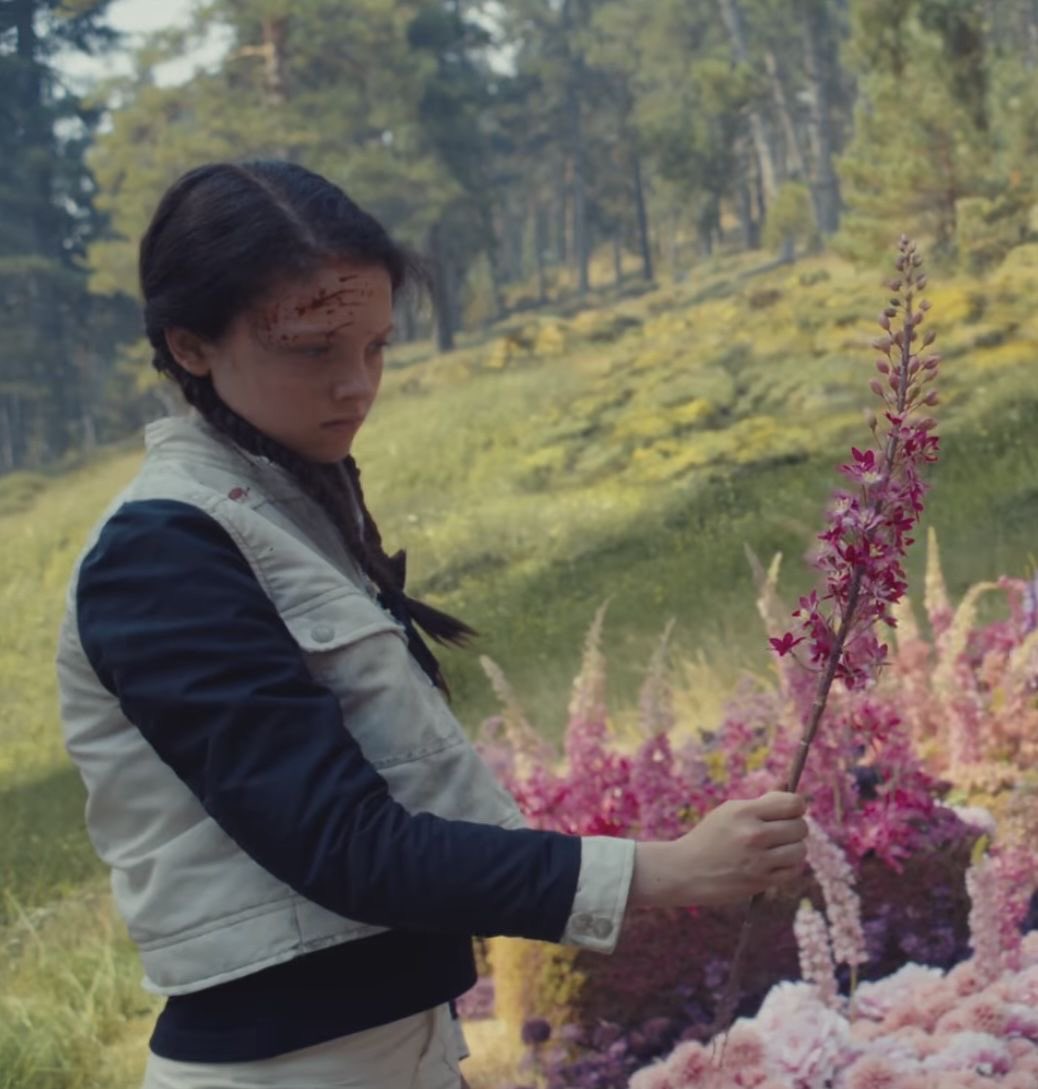 haydovelys's tweet photo. Where will you go, little girl? Back to 11? Into capitol soil? Or will they incinerate your body and leave no trace of you behind? Either way, mine
will be the last touch of someone who cares about you. https://t.co/SwNKHn6LGd