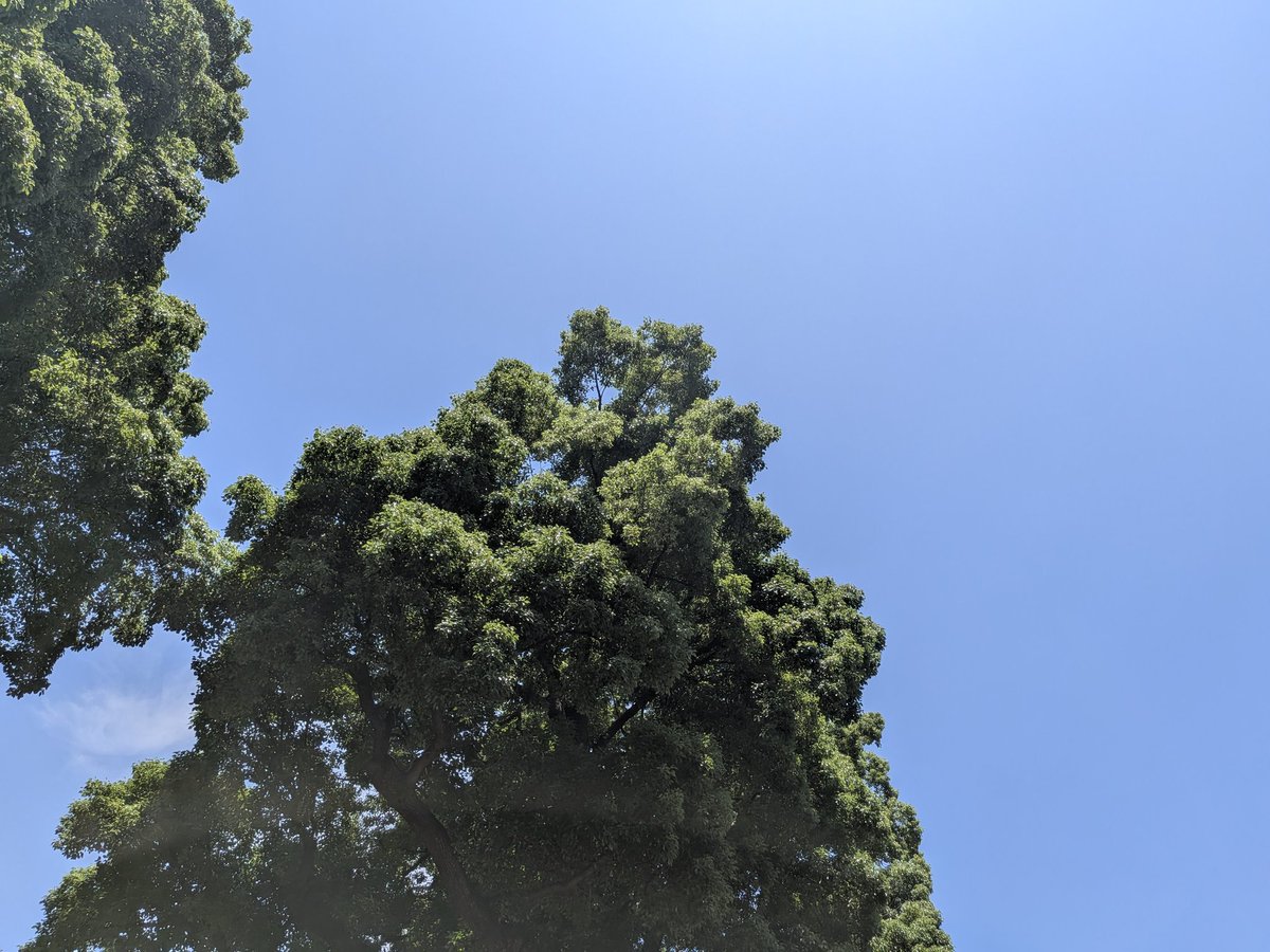 a2c_lion's tweet photo. いきなり！真夏☀ https://t.co/r5cU6NfMm4