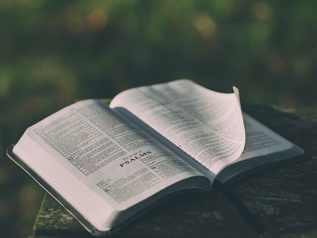 apsalmaday's tweet photo. 🟢  Today green vestments  🟢
📗 Per annum

#PrayTogether
Psalm 14:2
The Lord looks down from heaven on the children of men,
to see if there are any who understand,
who seek after God. https://t.co/NA3yi2ZSmj
