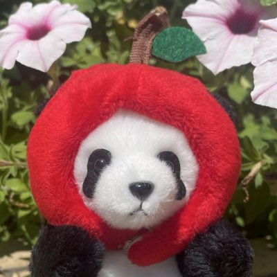 otubo100's tweet photo. #新しいプロフィール画像 https://t.co/rMIuvP8J1J