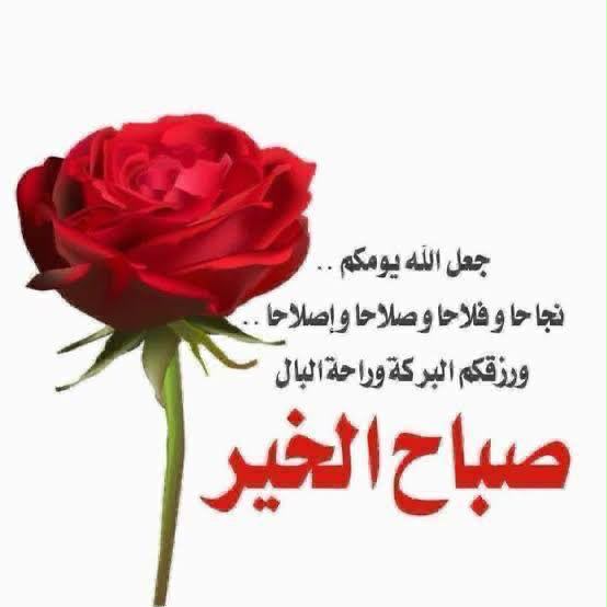 sultan223377's tweet photo. @Sh_40F https://t.co/cVgvhp4FMQ