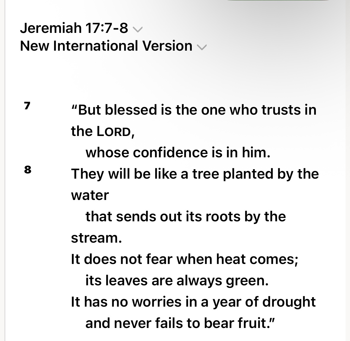 Dream_walker222's tweet photo. Bible verses(13) https://t.co/8BPzVrxUgX