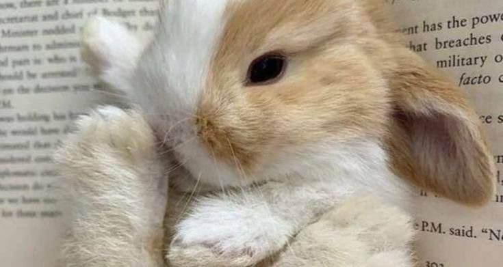 mysthixc's tweet photo. test masuk ga #zonauang https://t.co/9YMSmgtfRJ
