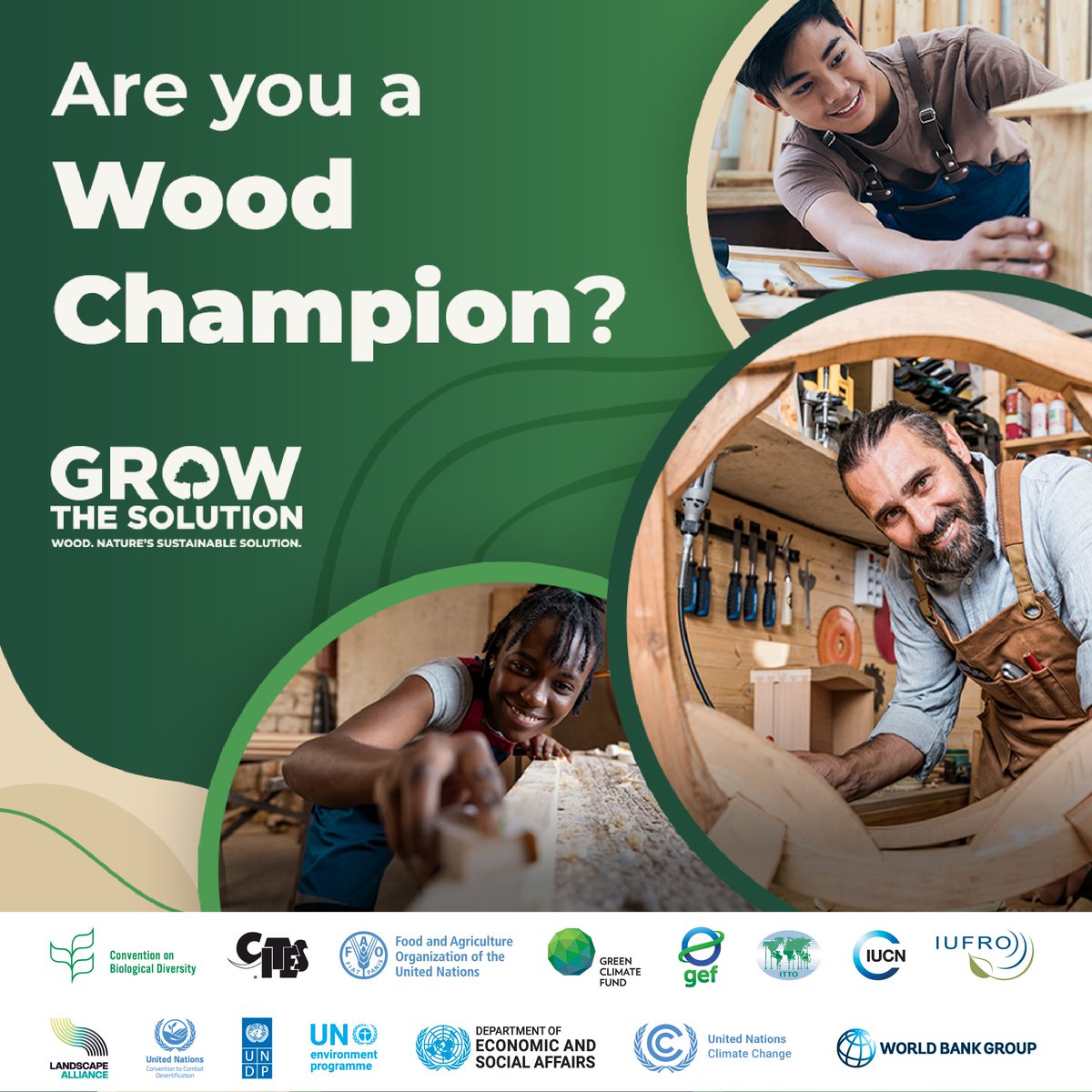 FAOForestry's tweet photo. 🪵 Are you reimagining what's possible with sustainable wood?

From bold designs to innovative builds, #GrowTheSolution is looking for its next #WoodChampion! 

If you're using wood in creative or inspiring ways, share your story.

👉 https://t.co/r7olrID40W

#CPForests #SW4SW https://t.co/x2jeMEVmet