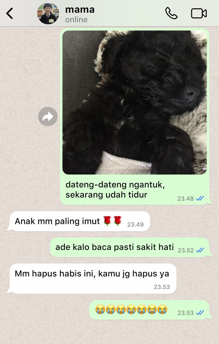 Lumpruy's tweet photo. Kasian ade https://t.co/Al79DI2b5F