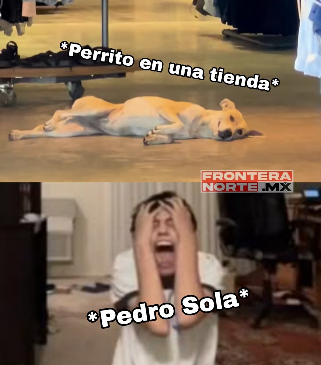 JoseLuisBMN's tweet photo. Imagen no apta para septuagenarios chismosos mataperros que trabajan en Ventaneando. https://t.co/gwsyrGsxv3