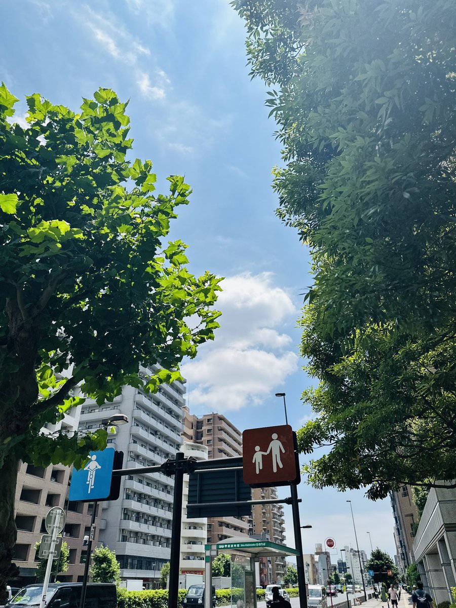 chucknoda's tweet photo. なんだかもう真夏☀️
明日以降の予報を見てもこれは梅雨明けてるかんじ https://t.co/UQ6mvj3x5Y