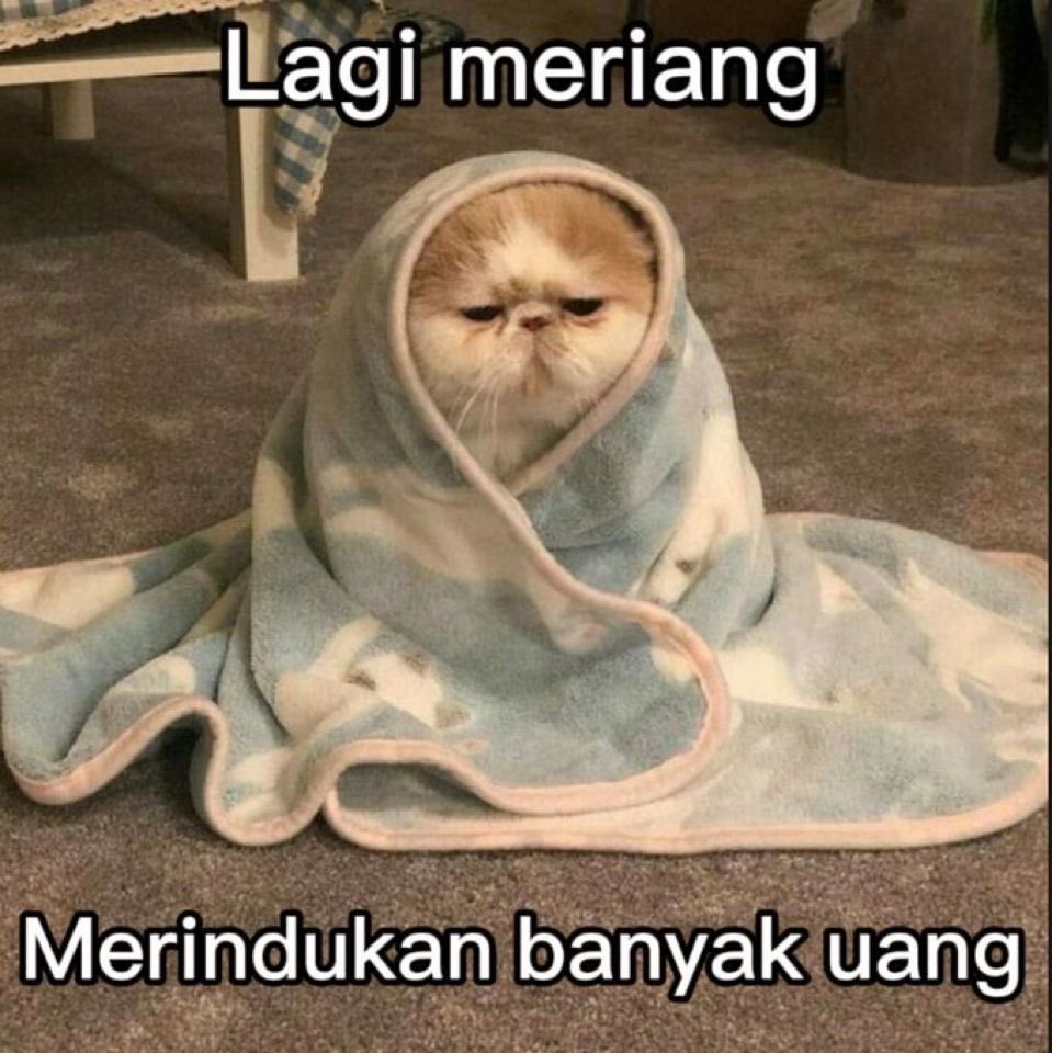 Flowiee tweet media