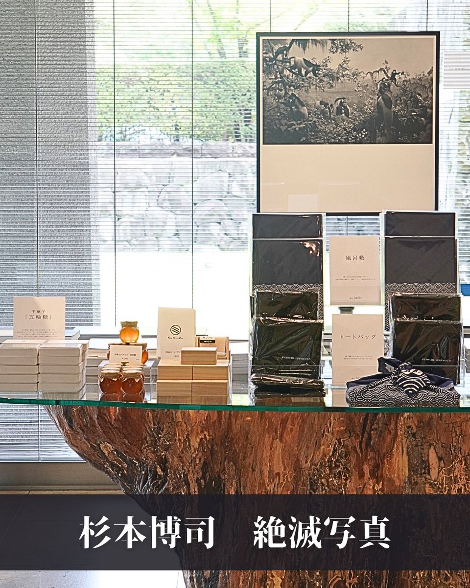 NTVService's tweet photo. 東京国立近代美術館で開催中「杉本博司　絶滅写真」にて当社が特設ショップを担当。 
銀塩写真の技術を駆使した初期から現在に至る約60点を展観する、国内約20年ぶりの個展です。 半世紀にわたる圧倒的な作品世界をぜひ特設ショップとともにお楽しみください。 ※ショップでは品切れの場合がございます https://t.co/JuMVFDtf1W