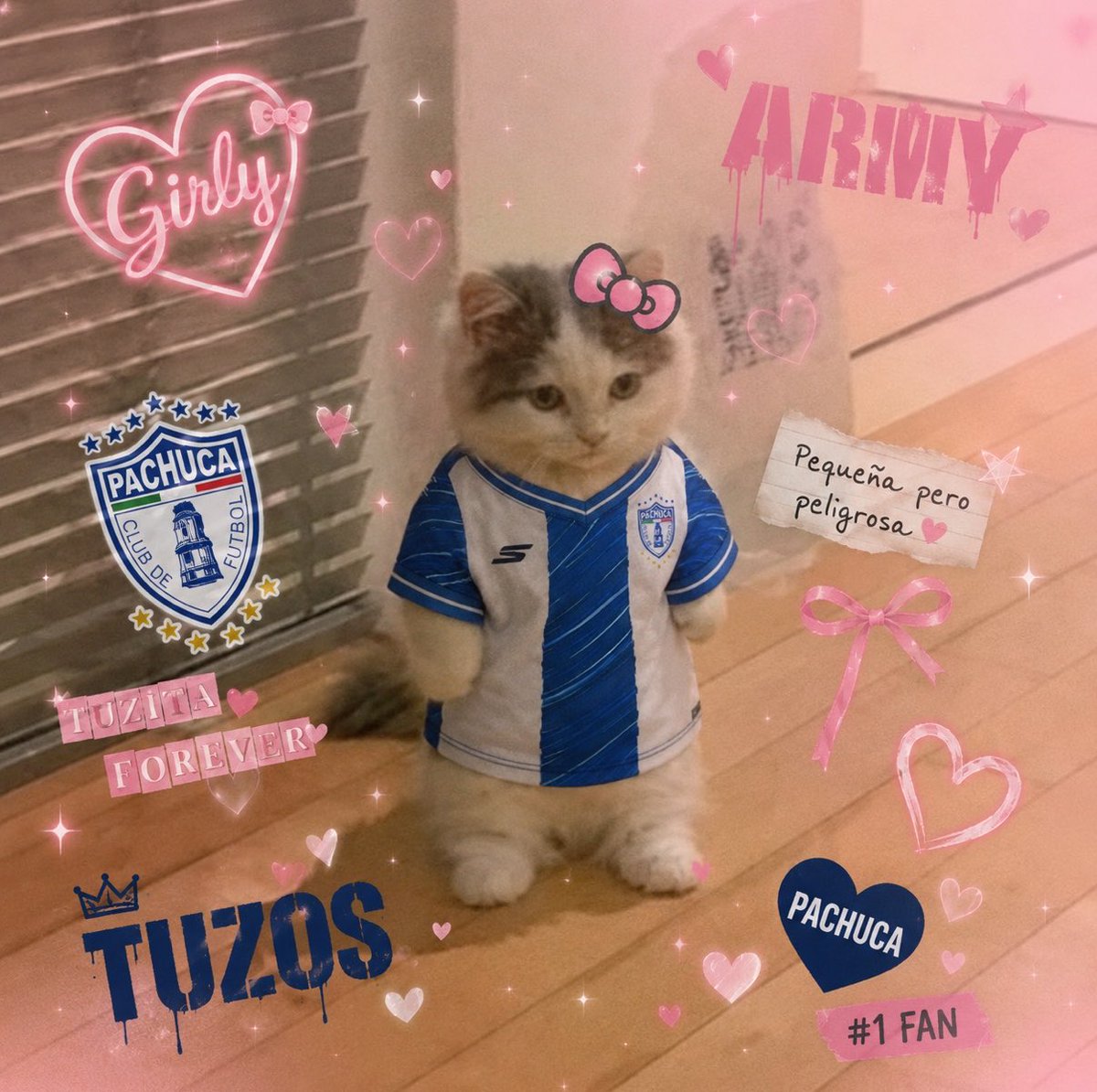 TuzosInf's tweet photo. 🧵 ⚽️ Para las Armys y girls que buscan equipo de la Liga MX:

Club de futbol Pachuca 💙🤍

#Tuzostwt #girls #Fifas https://t.co/S2Sh8yOAii