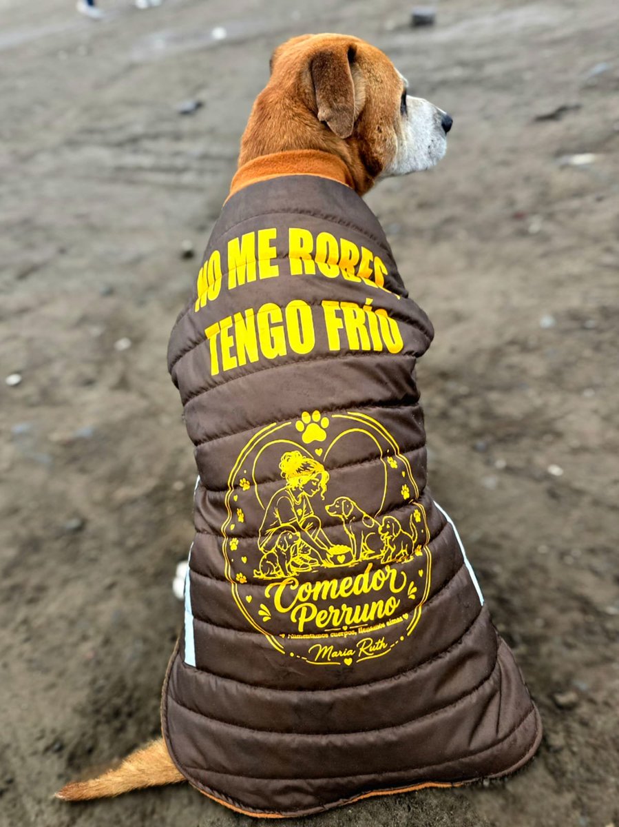 dame_una_pata's tweet photo. Empezamos nuestra campaña ABRIGANDO A UN PELUDITO

Ellos sienten frío igual que nosotros 
Aquí en Villa Maria ( ticlio chico) muchos perritos en esta temporada  tiemblan de frío es por eso que tratamos de brindarle una ropita impermeable para que sientan que no están solos y pueda ayudar con las bajas temperaturas 
Ayúdame a juntar para sus chalequitos 
Modelo de hoy ORQUITO