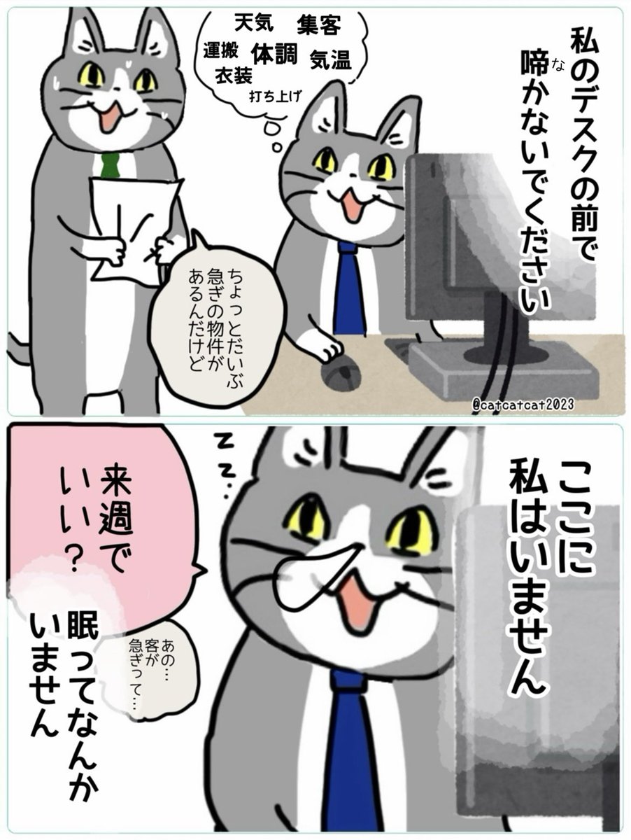 catcatcat2023's tweet photo. 本番が近い猫、心ここにあらず。 https://t.co/JatDIRbwXT
