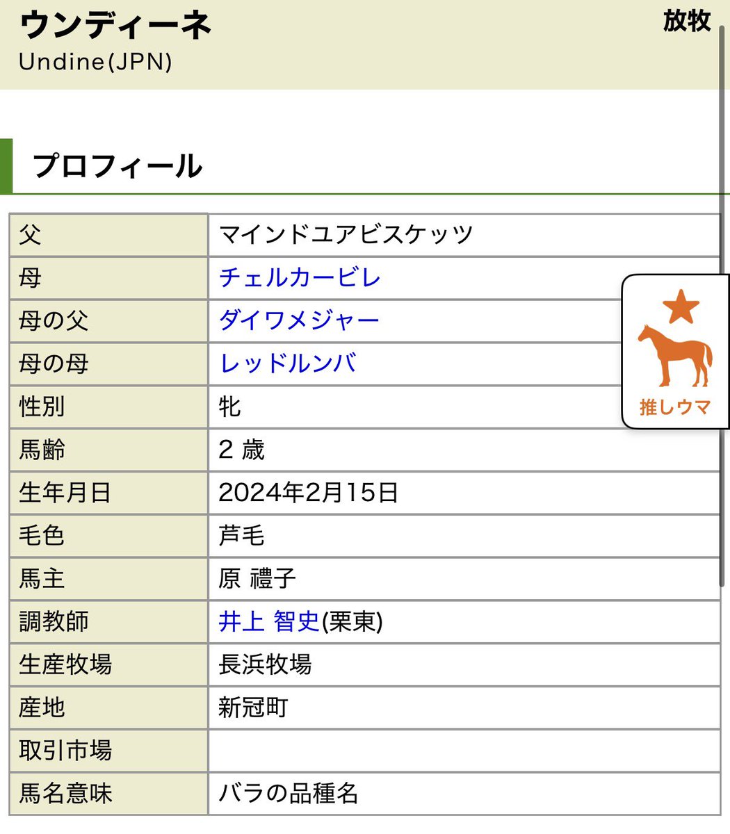 aogirism's tweet photo. わたし早くこの子の次走が見たいです…この名前で、女の子で、しかも名前の由来が薔薇…！！！ https://t.co/SZDvznoSBm