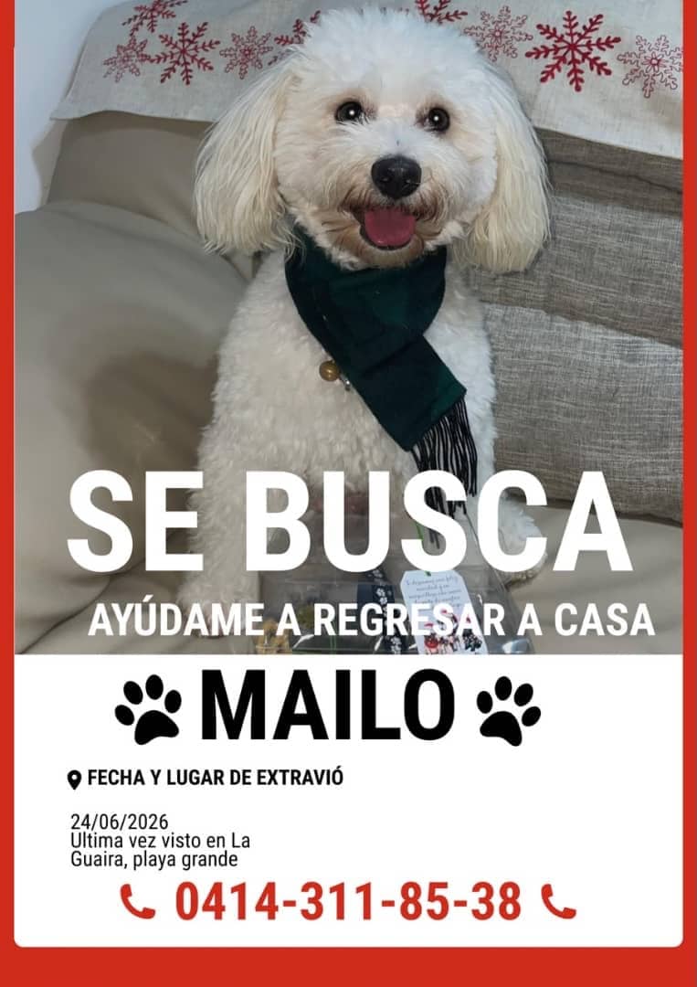 gracon27's tweet photo. 🚨🚨🚨SE BUSCA 🚨🚨🚨 
#LaGuaira
#PlayaGrande https://t.co/SBlQDxEaRl