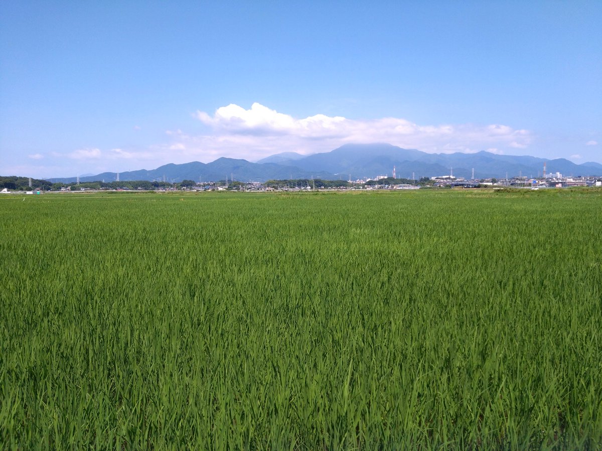sunappeppeppe's tweet photo. 開けた田んぼからの風景、本当落ち着くわ〜 https://t.co/2iKGA64QM9